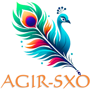 Logo favicon représentant un paon avec des couleurs vives et une plume multicolore, symbole de l'agence AGIR-SXO.